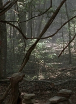 twd1002_1981.jpg