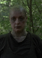twd1002_2010.jpg
