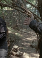 twd1002_2068.jpg