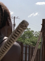 twd1003_0188.jpg
