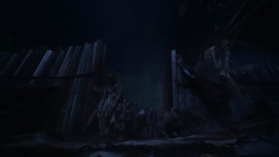 twd1004_1564.jpg