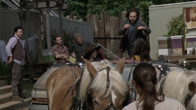 twd1004_2246.jpg