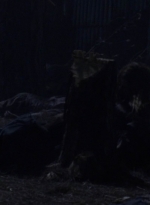twd1004_1518.jpg