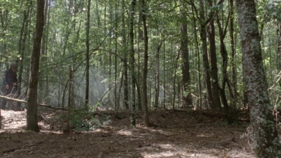 Click to view full size image
==============
twd1006_1283.jpg twd1006_1283.jpg