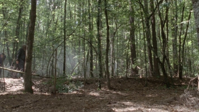 Click to view full size image
==============
twd1006_1284.jpg twd1006_1284.jpg