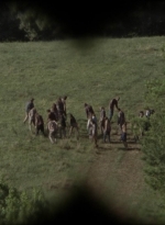 twd1006_0834.jpg