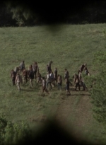 twd1006_0836.jpg