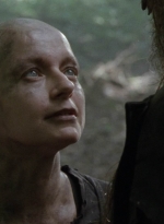 twd1006_0884.jpg