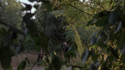 twd1008_2218.jpg