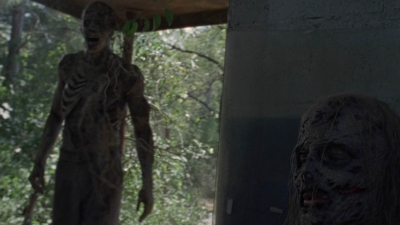twd1010_1153.jpg