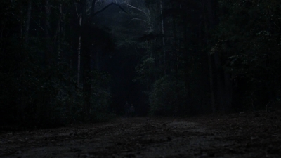 twd1010_1896.jpg