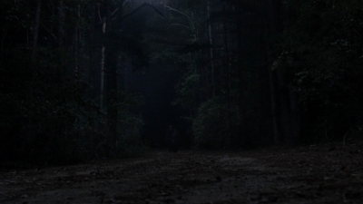 twd1010_1911.jpg