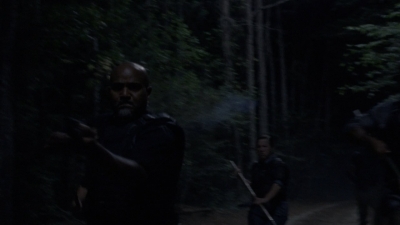 twd1010_1920.jpg