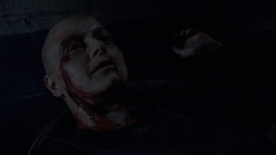 twd1010_2022.jpg