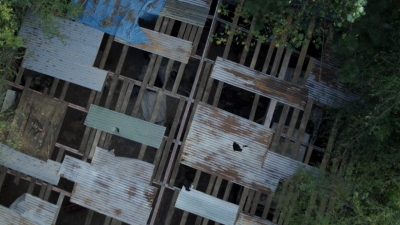 twd1010_2641.jpg
