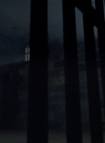 twd1010_1568.jpg