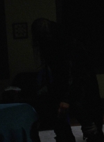 twd1010_1797.jpg