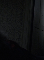 twd1010_1827.jpg