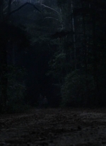 twd1010_1896.jpg