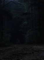 twd1010_1899.jpg