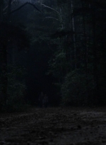 twd1010_1900.jpg
