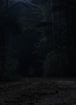 twd1010_1902.jpg