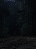 twd1010_1903.jpg