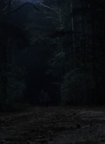 twd1010_1904.jpg