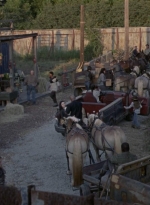 twd1010_2474.jpg