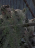 twd1010_2495.jpg