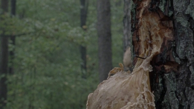 twd1011_0016.jpg