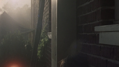 twd1011_1455.jpg