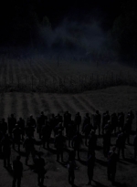 twd1011_2392.jpg