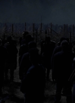 twd1011_2478.jpg