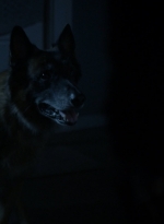 twd1021_scnet_1394.jpg