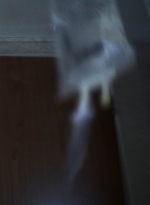 twd1022_scnet_0566.jpg
