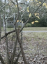 twd1022_scnet_0815.jpg