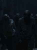 twd1101_scnet_2051.jpg