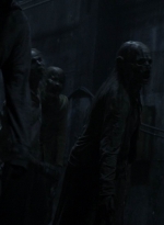 twd1101_scnet_2057.jpg