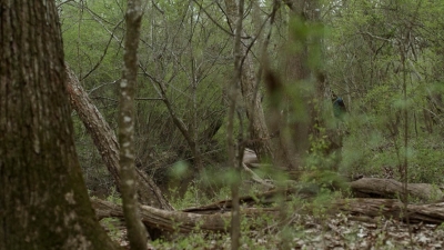 twd1103_scnet_0878.jpg