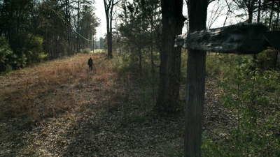 Click to view full size image
==============
twd1103_scnet_1958.jpg twd1103_scnet_1958.jpg