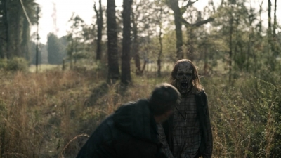 Click to view full size image
==============
twd1103_scnet_1971.jpg twd1103_scnet_1971.jpg