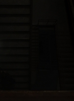 twd1103_scnet_0339.jpg