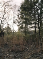 twd1103_scnet_1970.jpg