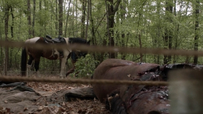 Click to view full size image
==============
twd1106_scnet_0875.jpg twd1106_scnet_0875.jpg