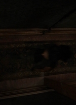 twd1106_scnet_0971.jpg