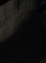 twd1106_scnet_1618.jpg