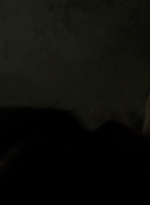 twd1110_scnet_0940.jpg