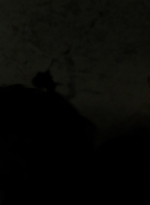 twd1110_scnet_0943.jpg