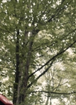 twd1110_scnet_0946.jpg